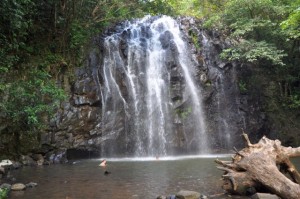 Millaa Millaa Falls