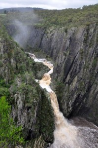 Dorrigo NP