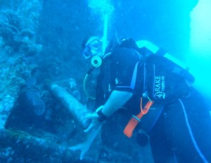 Cooligde1