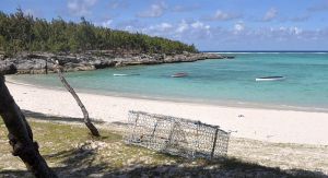 Anse Ally