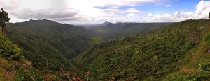 Black River Gorch
