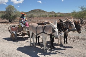 Herero6