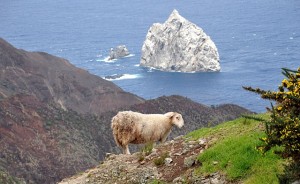 Speery Islands