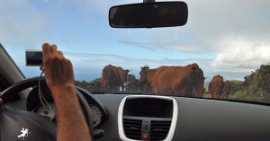 Rush hour a la Pico